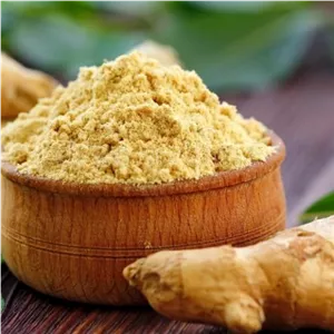 پودر زنجبیل اعلاء100گرم