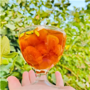 مربای انجیر ارگانیک شاهرود