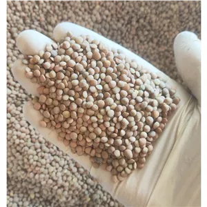 عدس ریز درجه یک پاک کرده 250 گرمی 