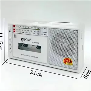 رادیو FM پوکسینگ کاست خور