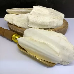 کف دریا