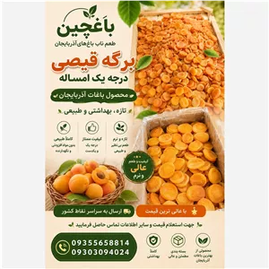 قیسی زردآلو سراب آفتابخشک و خوشرنگ