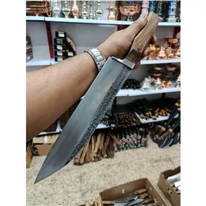 جوجه زن هادی باربند دار