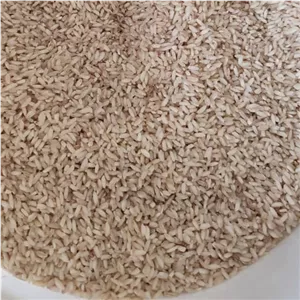 برنج ناغان محلی چهارمحال بختیاری