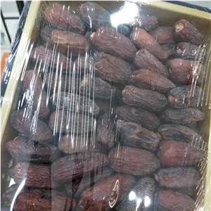 خرما مجول مراکشی اصل سایز 2 ایکس