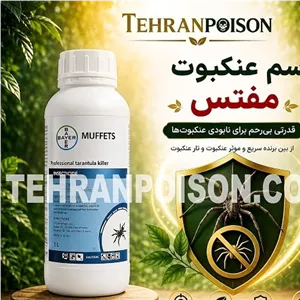 سم بسیار قوی و کشنده عنکبوت مفتس