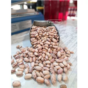 لوبیا چیتی کنسروی