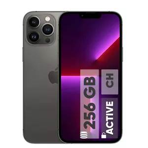 گوشی موبایل اپل مدل iPhone 13 Pro Max CH دو سیم کارت ظرفیت 256 گیگابایت و رم 6 گیگابایت - اکتیو