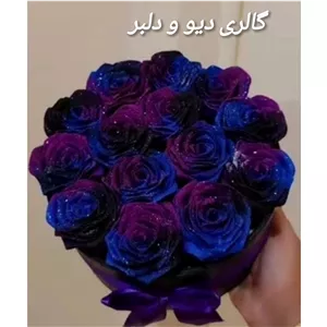 باکس گل روبانی رز کهکشانی شاین دار 15 شاخه( رنگ قابل تعویض )