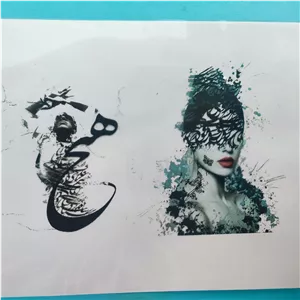 طلق شفاف هیچ وچهره مخصوص رزین،طلق هیچ