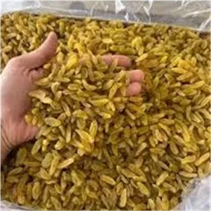 کشمش زرد دودی 