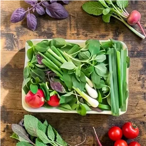سبزی خوردن درجه یک تمیز شده