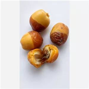 خرما و رطب لذیذ مرداسنگ