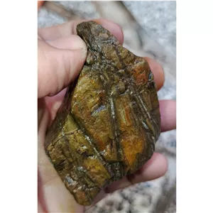 سنگ فوق کلکسیونی شبق(فسیل چوب) طبیعی سختی بالا