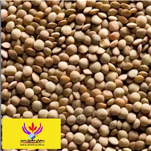 عدس ریز خوش پخت و تازه واعلا یک کیلویی مشرق زمین