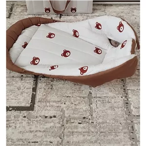 اغوشی. طرح تدی 