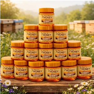 عسل گون کوهی 350 گرمی 20 تایی گیاهینو با برگه آزمایش