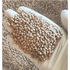 عدس ریز پاک شده درجه یک 1 کیلوگرم 