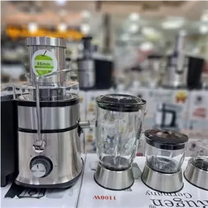 آبمیوه گیری 4کاره روگن مدل RU-1240