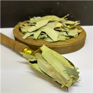 برگ اکالیپتوس