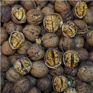 گردو پوست کاغذی درجه 1