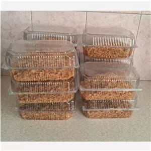 پیاز داغ خونگی 