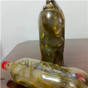 خیارشور خانگی درجه یک