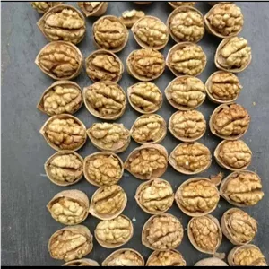 گردوفریدن خریدمستقیم ازکشاورز وپک صبحانه مقوی