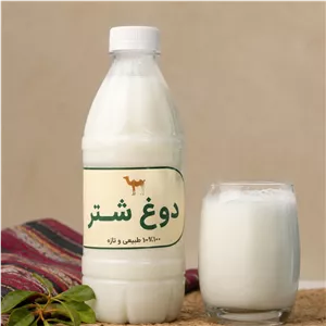 دوغ شتر