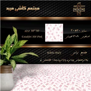 کاشی استخری