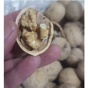 گردو پوست کاغذی ایرانی درجه یک 500گرم