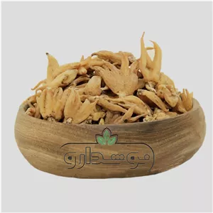 ثعلب پنجه 10 گرمی (پسکرایه)