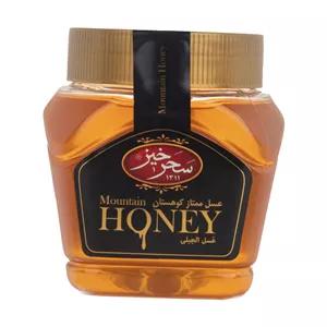عسل ممتاز کوهستان سحرخیز - 450 گرم