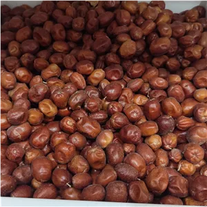 سنجد قرمز