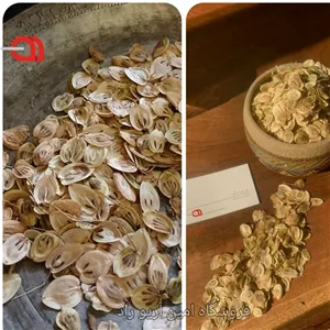 گلپر ایرانی برگ و پودر درجه 1(فروش عمده)