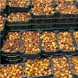رطب عسلی صادراتی 