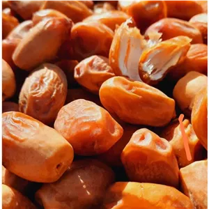 خرما زاهدی درجه یک صادراتی