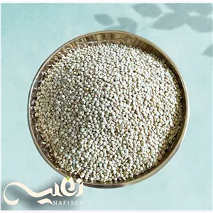 عدس ریز محلی سرحدی. بهاره 