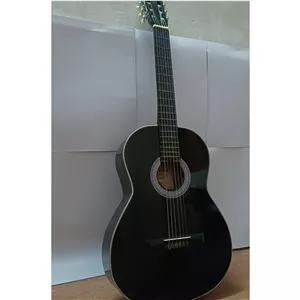 گیتار mv2