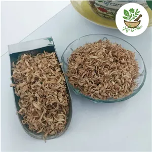 بهارنارنج شیراز