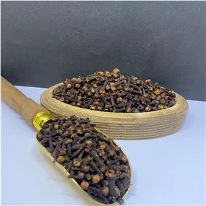 گیاه میخک