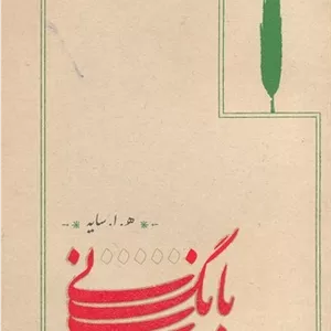 بانگ نی مدل 1