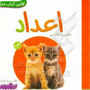 بورد بوک اولین کتاب من 20 اعداد