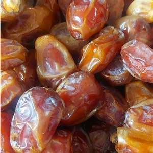 خرما کبکاب خشک شده شکلاتی