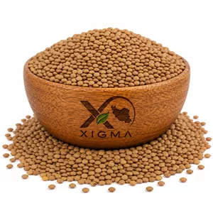 عدس ریز کانادا