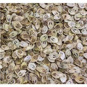 گلپر کوهی خوشبو، درجه یک، گلپر طالقان، اصل، خوش عطر