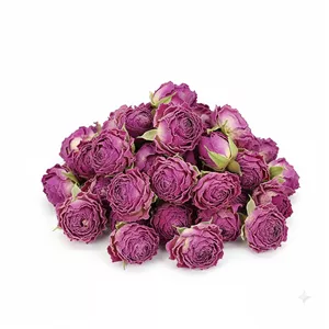 گل محمدی