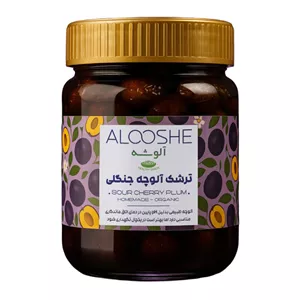 ترشک آلوچه جنگلی آلوشه - 500 گرم