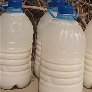 دوغ گوسفندی اعلا با طمع عالی 