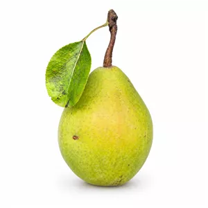 خوج گلابی
